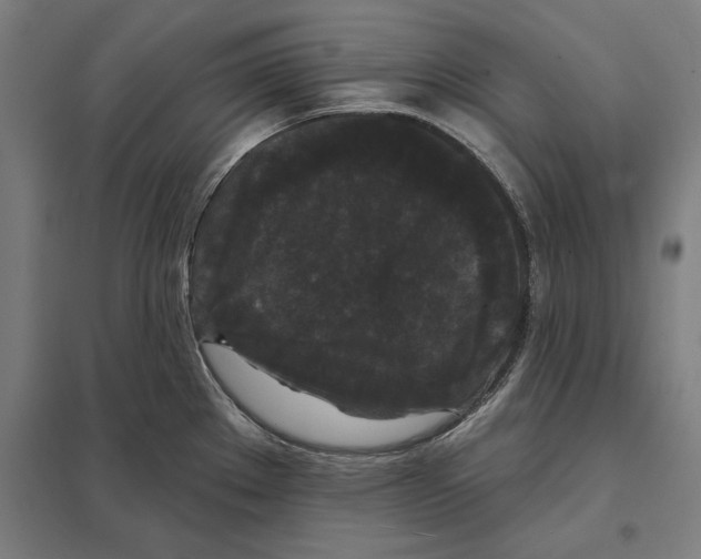 X0000097591289200803280919