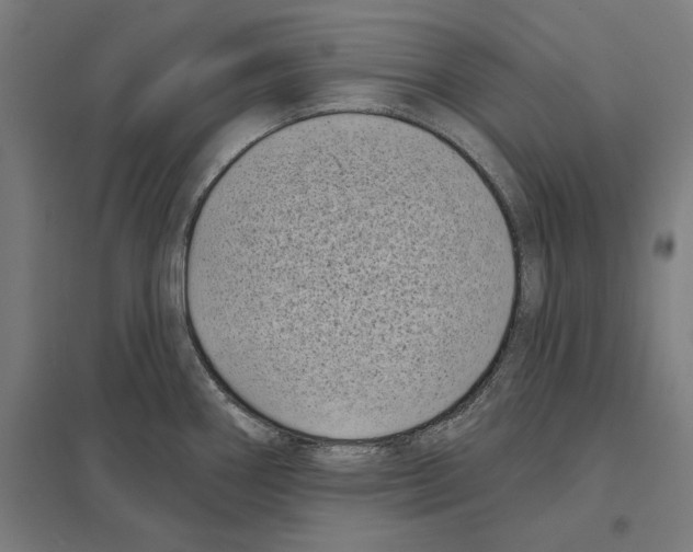 X0000097591290200803280919