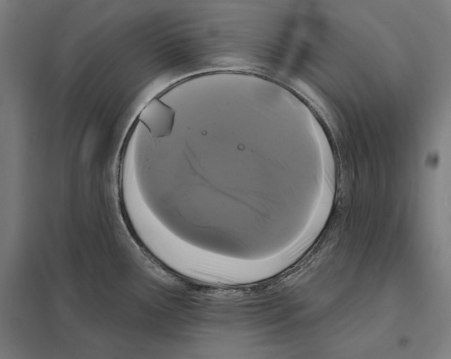 X0000097591291200803280919