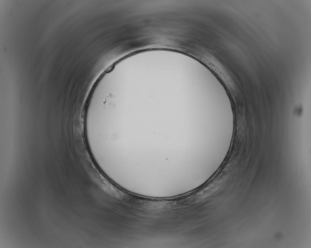 X0000097591292200803280919