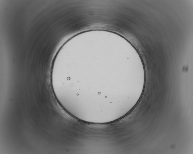 X0000097591296200803280918