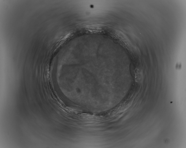 X0000097591298200803280918