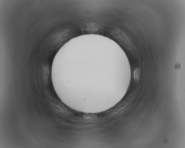 X0000097591299200803280918