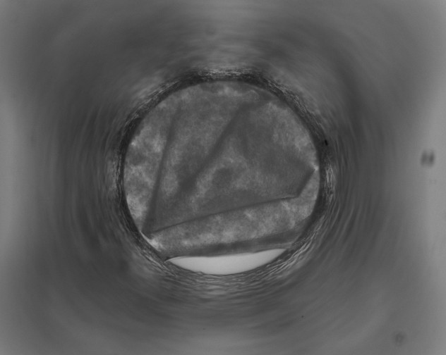 X0000097591300200803280918