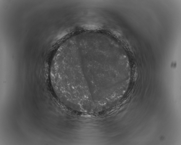 X0000097591301200803280918