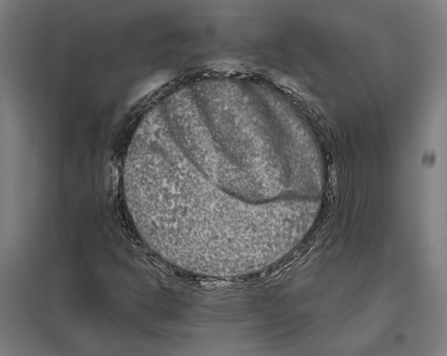 X0000097591302200803280918