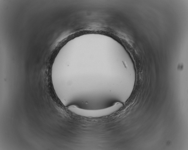 X0000097591304200803280918