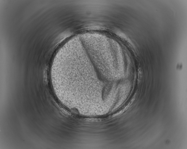 X0000097591305200803280918