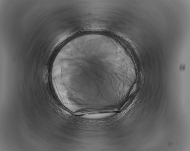 X0000097591306200803280918