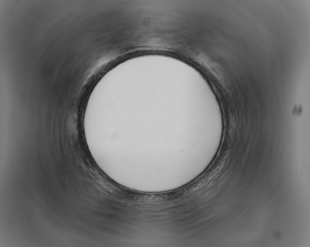 X0000097591307200803280918