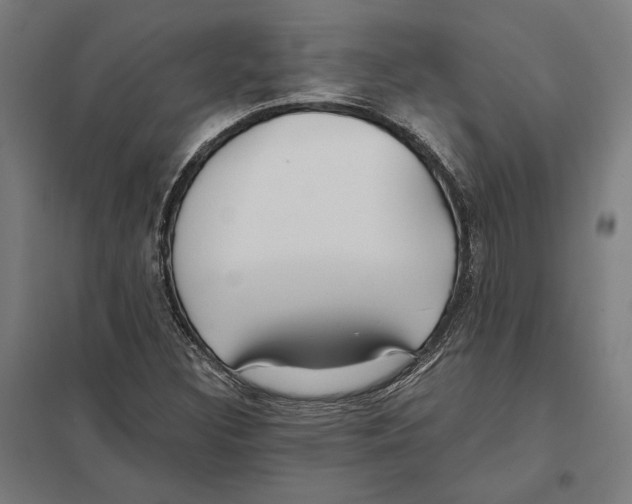 X0000097591308200803280918