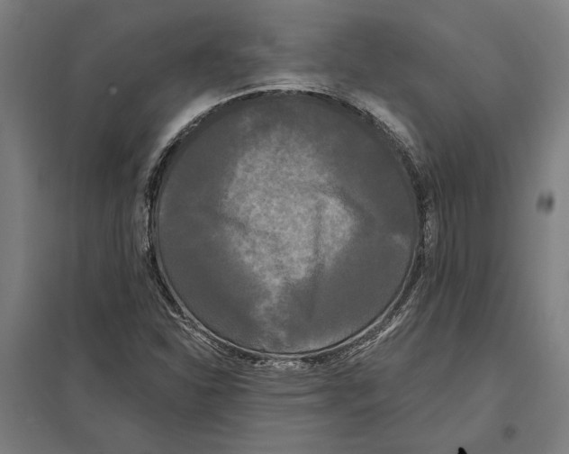 X0000097591310200803280918