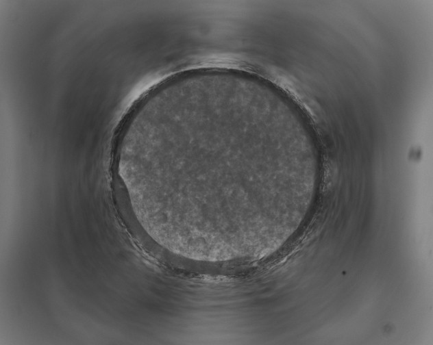 X0000097591312200803280918