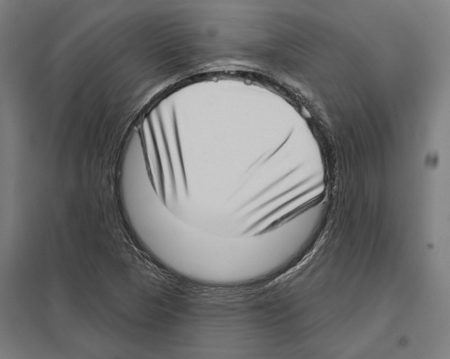 X0000097591313200803280918