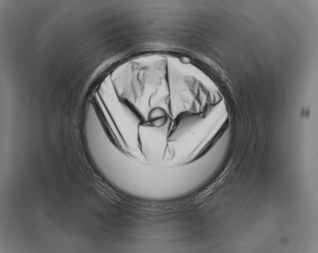 X0000097591314200803280918