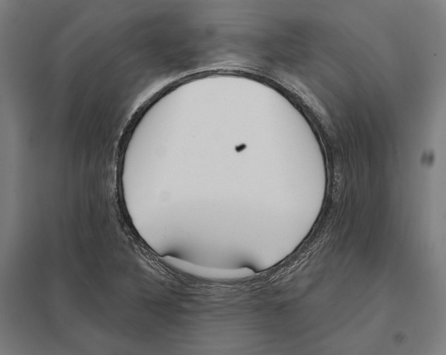 X0000097591316200803280918