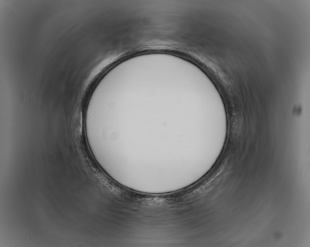 X0000097591317200803280918