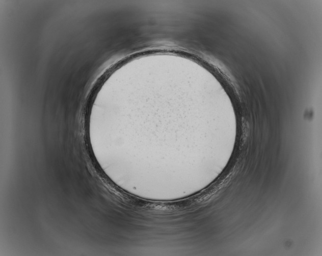 X0000097591318200803280918