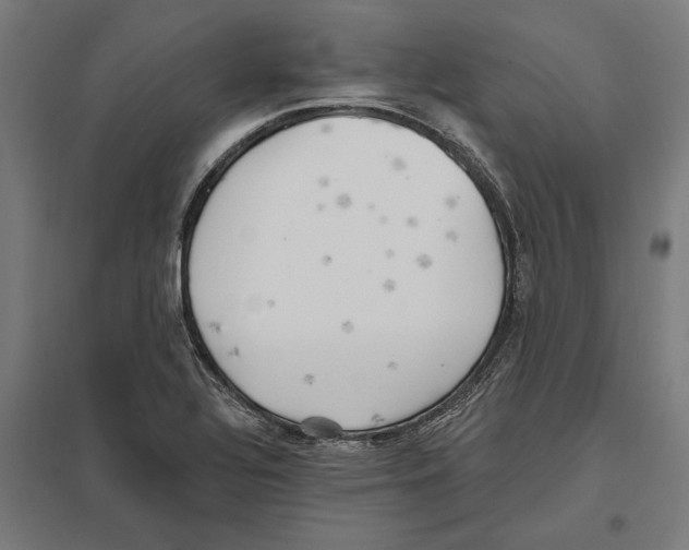 X0000097591320200803280918