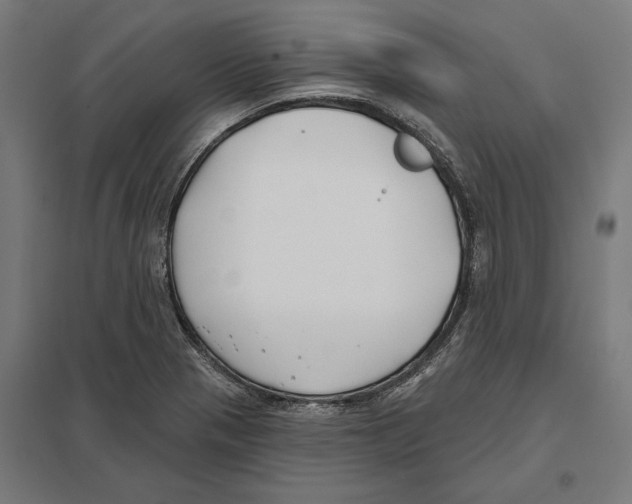 X0000097591321200803280918