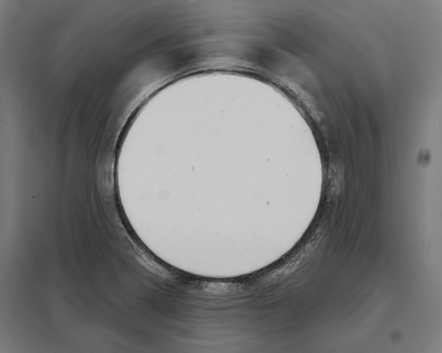 X0000097591322200803280918