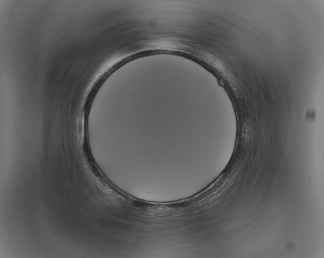 X0000097591323200803280918