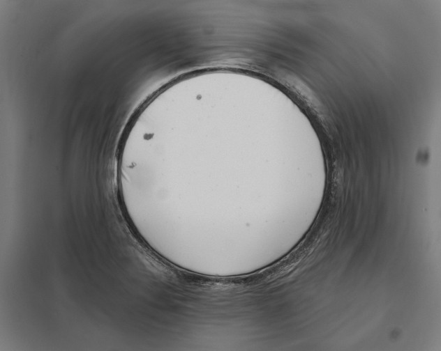 X0000097591324200803280918