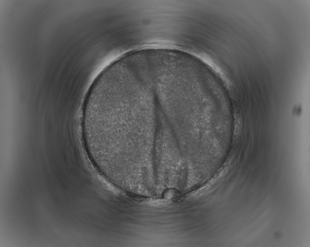 X0000097591325200803280918