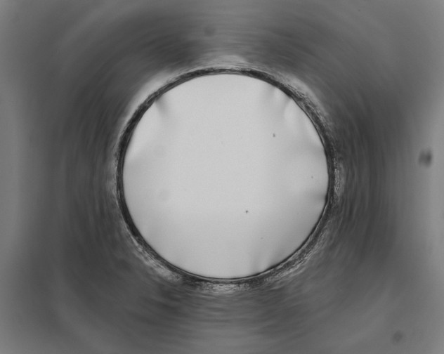 X0000097591326200803280918