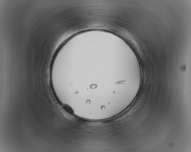 X0000097591328200803280918