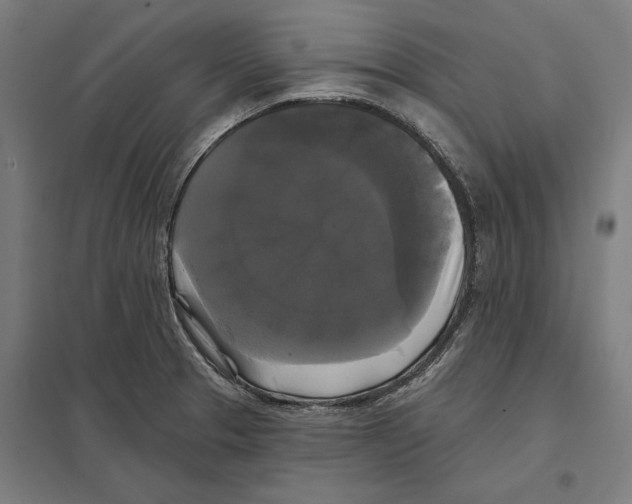 X0000097591329200803280918