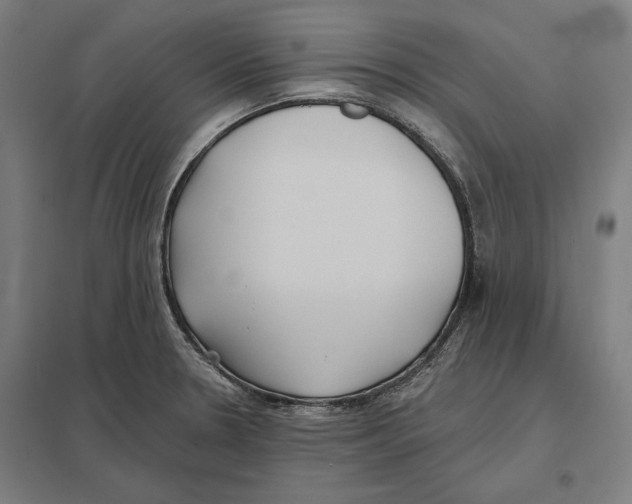 X0000097591330200803280918