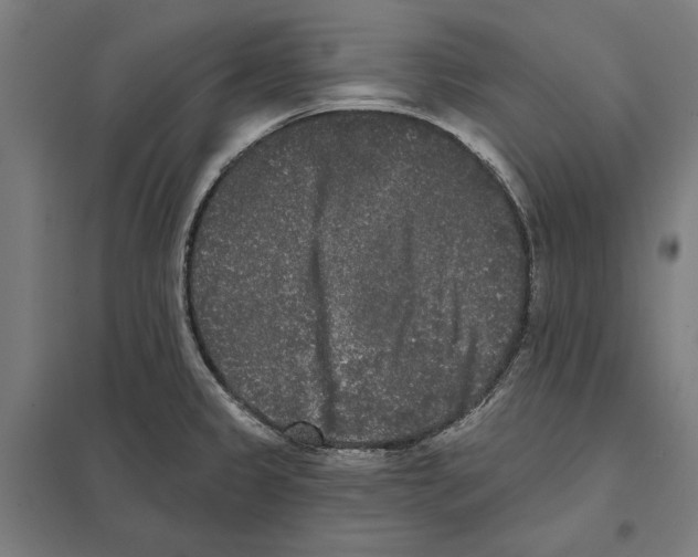 X0000097591333200803280918