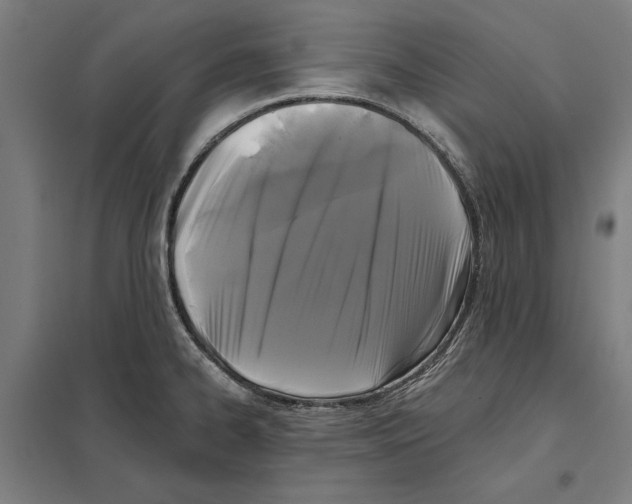 X0000097591334200803280918