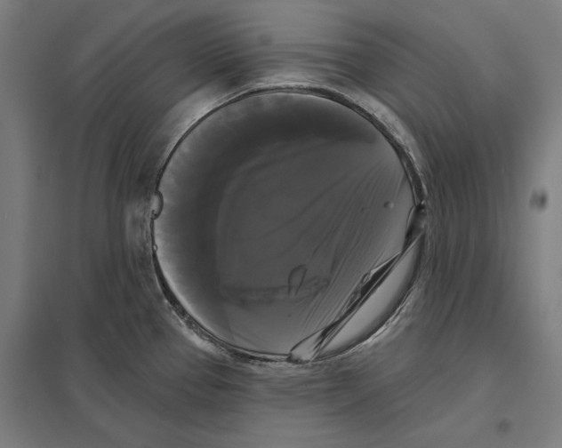 X0000097591337200803280918