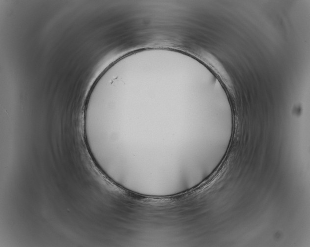 X0000097591340200803280918