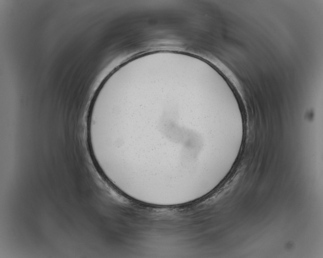 X0000097591341200803280918