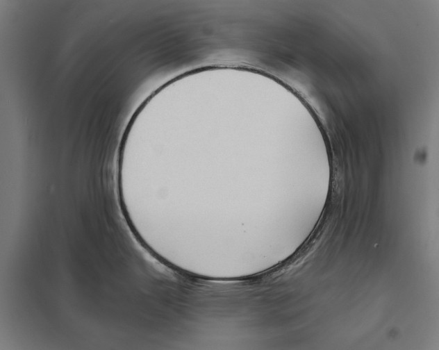 X0000097591343200803280918