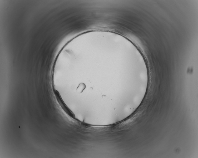 X0000097591344200803280918