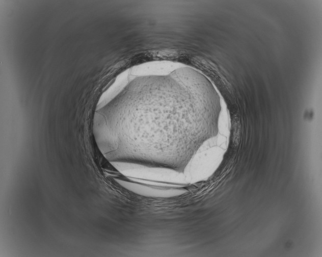 X0000097591345200803280918