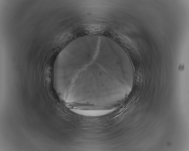 X0000097591346200803280918