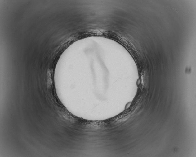 X0000097591347200803280918