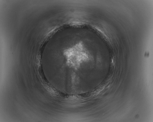 X0000097591348200803280918