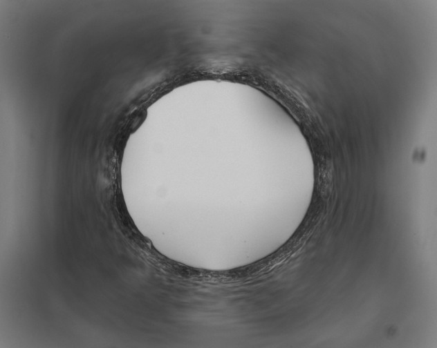 X0000097591349200803280918