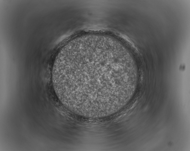 X0000097591350200803280918