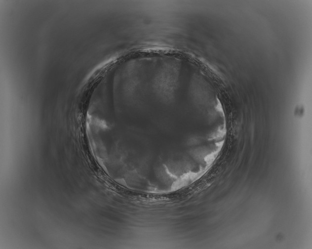 X0000097591351200803280918