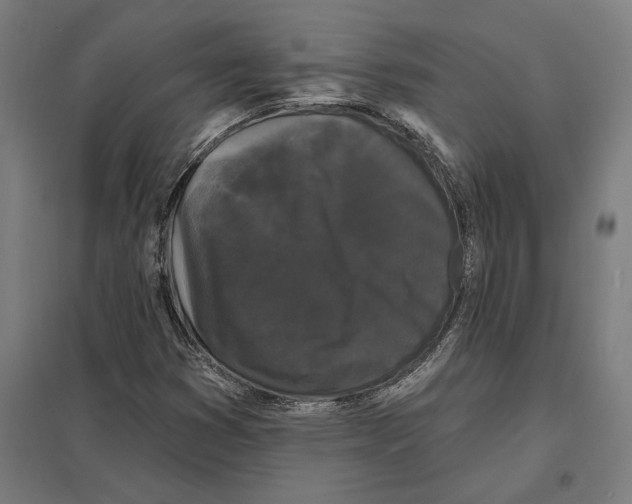 X0000097591353200803280918