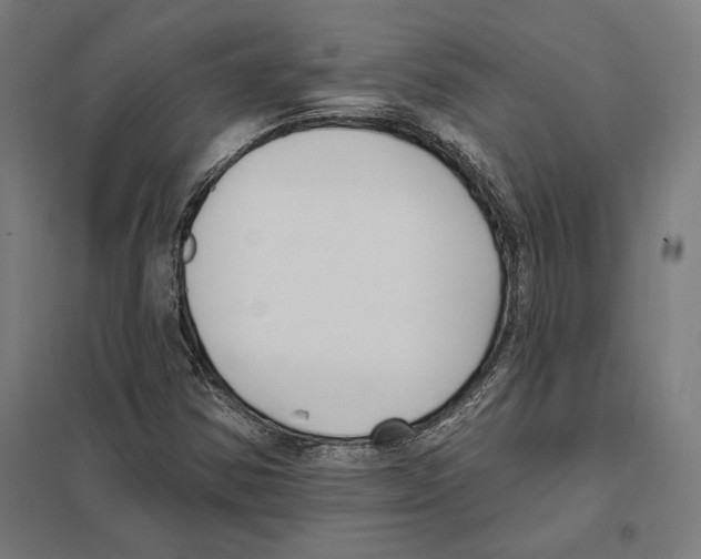 X0000097591354200803280918