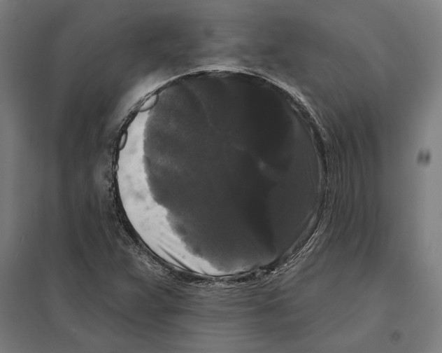 X0000097591359200803280918