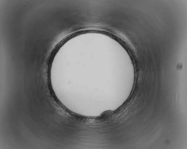 X0000097591360200803280918